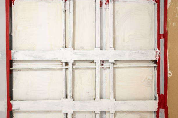 Best Mold Damage Restoration  in Golf Manor, OH